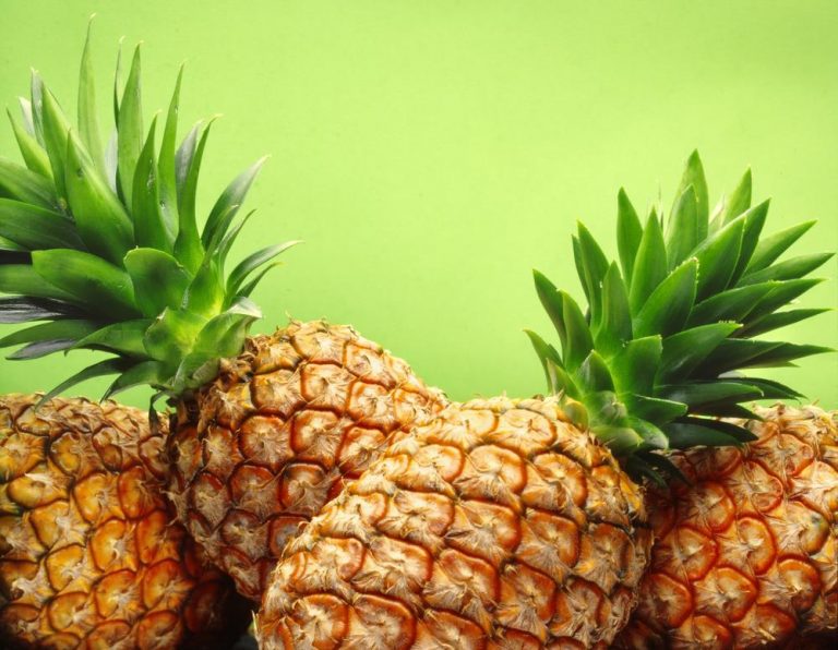 Cómo escoger correctamente las frutas – LA COCINA DE GISELE